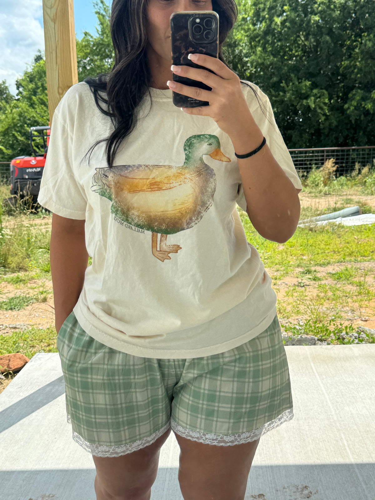 Watercolor Mallard